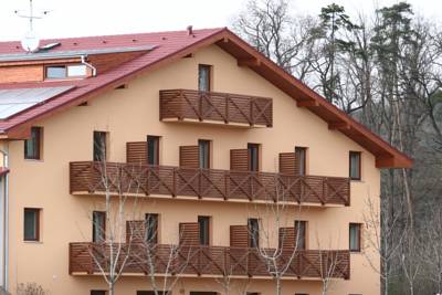 Hotel Panska Licha in Brünn