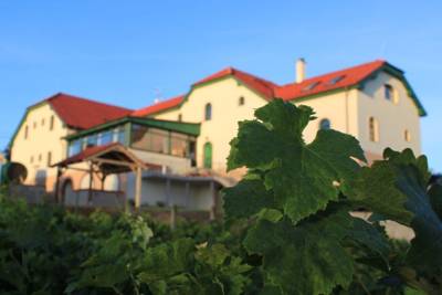 Pension Hotel Vinohrad in Milotice