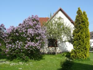 Apartmány Sněženka in Deštné v Orlických horách (ehem. Deschney)