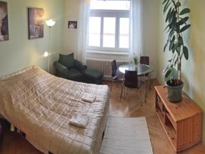 Apartment Praha 3 in Prag