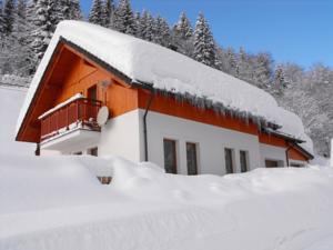 Apartment U Erlebachů in Černý Důl (ehem. Schwarzenthal)