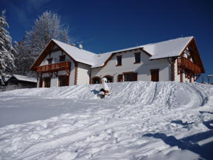 Apartment Villa Victoria in Lipno nad Vltavou (ehem. Lippen)