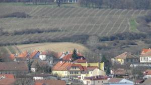 Apartment Železný Hrozen in Valtice (ehem. Feldsberg)