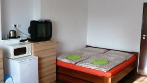 Apartments U Cara in Budweis