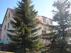 Apartments U Tří Smrků in Gottesgab