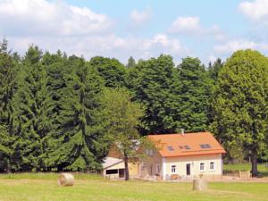 Ferienhaus Dum U Lesa in Milíře (ehem. Tachauer Brand)