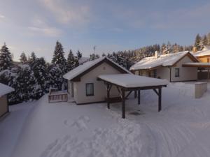 Ferienhaus Kobylnice in Lipno nad Vltavou (ehem. Lippen)