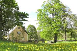 Ferienhaus Lipa in Obora (ehem. Thiergarten)