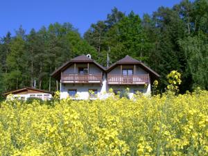 Ferienhaus Oldrich in Holubovská Bašta