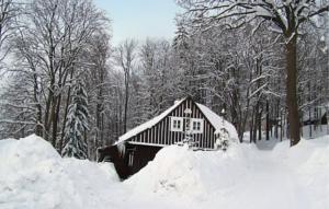 Ferienhaus in Paseky nad Jizerou (ehem. Pasek)