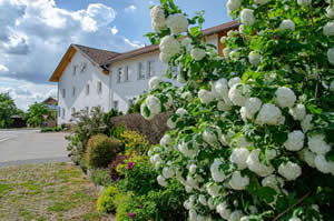 Hotel Gasthof Altmann in Warzenried