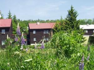 Horská Chata Aninka in Mariánská - Jáchymov