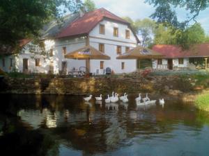 Hotel BioFarma Dolejší Mlýn in Kamberk (ehem. Kamberg)