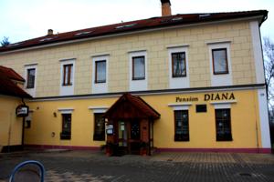 Hotel Diana in Nový Jáchymov