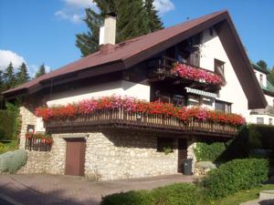 Hotel Dueto in Harrachov (ehem. Harrachsdorf)