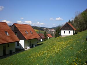 Riesengebirge:  Das Green Valley Park liegt ruhig an einem Waldrand in der ...