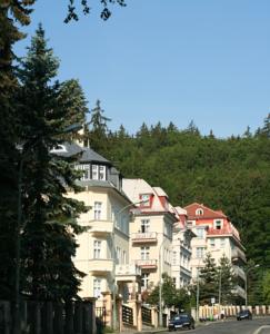 Hotel Lázeňská Léčebna Mánes in Karlsbad