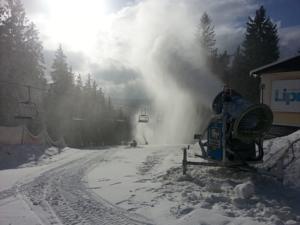 Hotel Myši V Botě in Lipno nad Vltavou (ehem. Lippen)