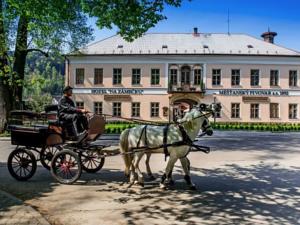 Hotel Na Zámečku in Ústí nad Orlicí (ehem. Wildenschwert)