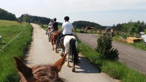 Hotel Q Ranch in Bezděkov (ehem. Besdiekow)