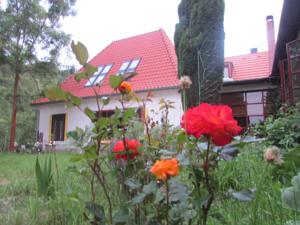 Hotel Sun Valley Home Base in Sýkořice