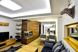 Luxury Wellness Apartment in Rokytnice