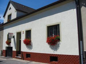 Pension Begonie in Budweis