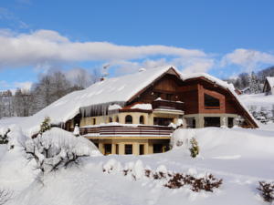 Pension Villa in Benecko (ehem. Benetzko)