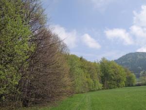 Penzion Šance in Frýdlant nad Ostravicí (ehem. Friedland an der Ostrawitza)