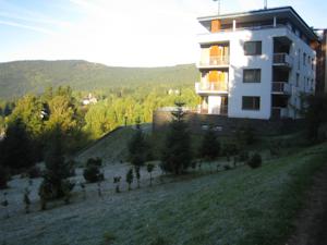 Studio Apartment Michael in Spindlermühle