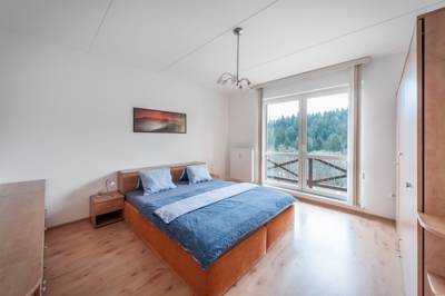 Apartmán U Lanovky in Janské Lázně