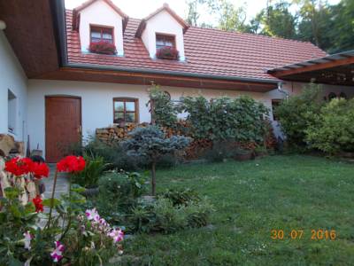 Apartment Homestay in Výrovice