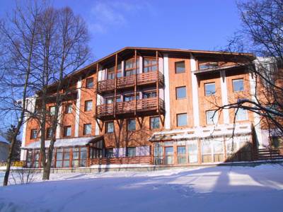 Apartment Hrebenka in Harrachov