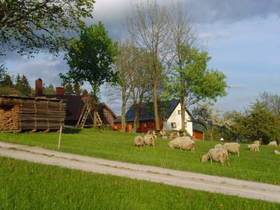 Apartment Na Zvonici in Paseky nad Jizerou