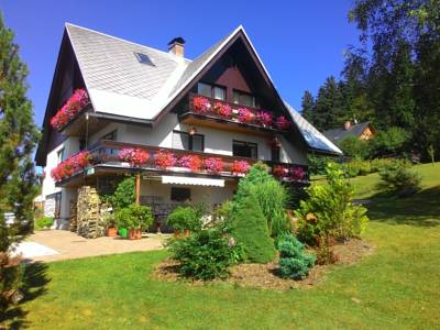 Apartment Šírovi in Benecko