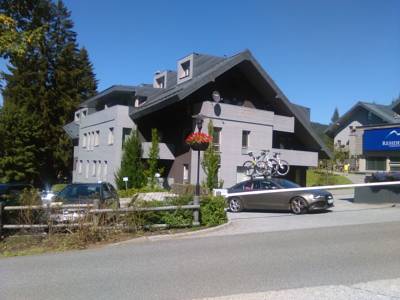 Apartment Sofinka in Harrachov