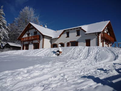 Apartment Villa Victoria in Lipno nad Vltavou