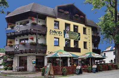 David Wellness Hotel in Harrachov