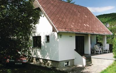 Ferienhaus Fireplace 06 in Nizbor