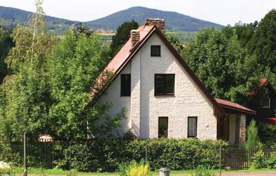 Ferienhaus Fireplace I in Susice