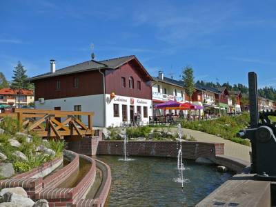 Ferienhaus in Lipno nad Vltavou