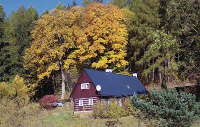 Ferienhaus in Zdonov