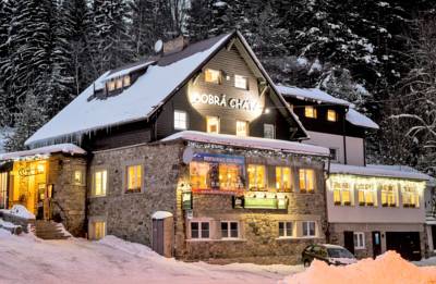 Horský Hotel Dobrá Chata in Stachy