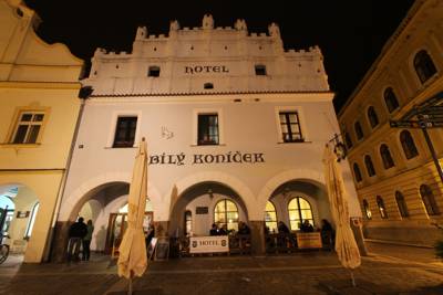 Hotel Bílý Koníček in Třeboň