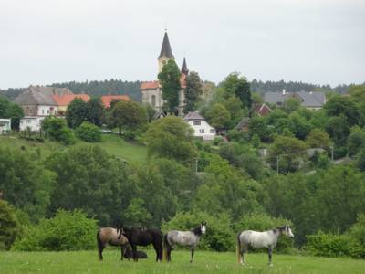 Hotel Hostinec U Janatů in Čestín