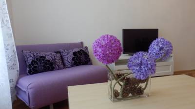Hotel Krakovska Holiday Appartments in Prag