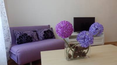 Hotel Krakovska Holiday Appartments in Prag