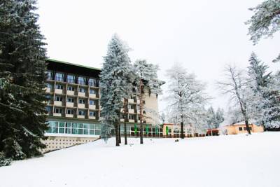 Hotel Medlov in Nové Město na Moravě