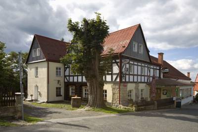 Hotel U Zeleného Stromu in Janov