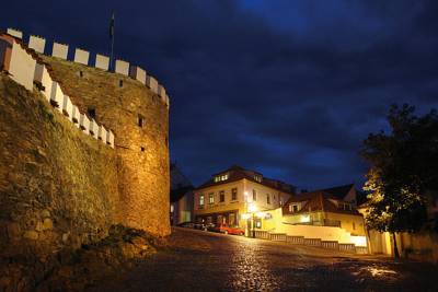 Hotel U Zlatého Býka in Písek